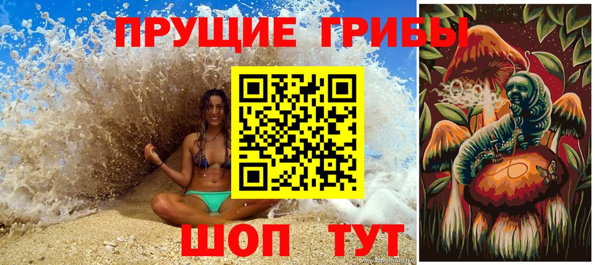 Галлюциногенные грибы мухоморы  Вход с VPN  Карталы  Псилоцибиновые грибы GOLDEN TEACHER 